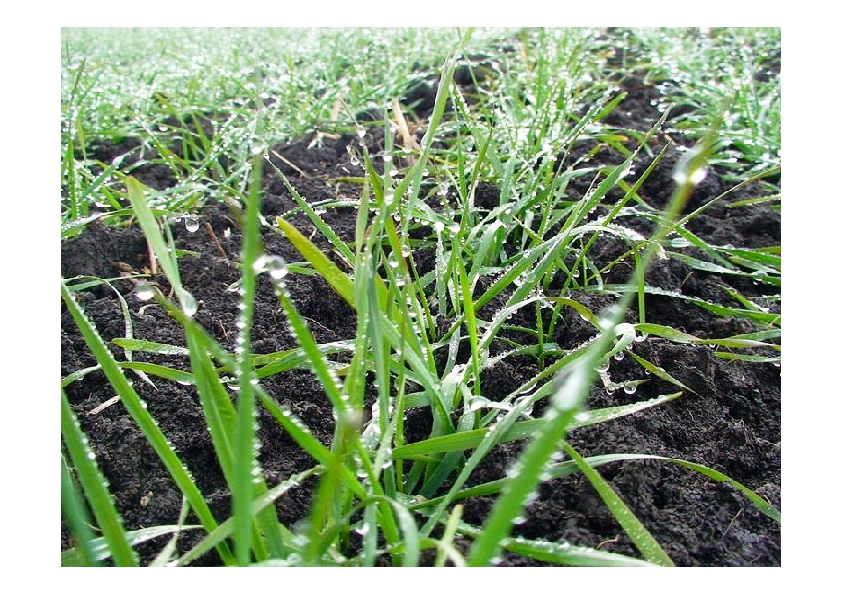 "ferme agricole de vanzare"