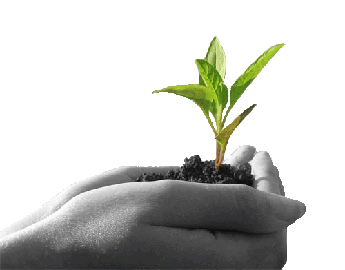 Vand ferma, vand teren agricol, minim 500 ha, maxim 10000 ha in acelasi judet.