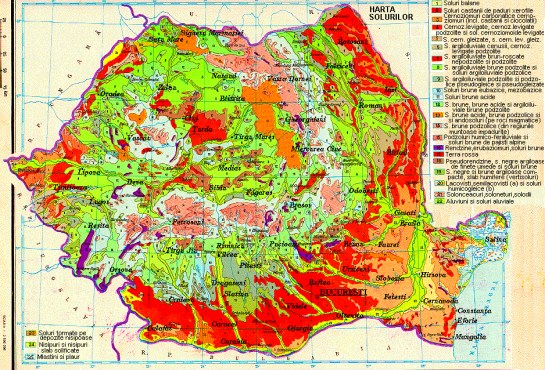 Teren Agricol De Vanzare