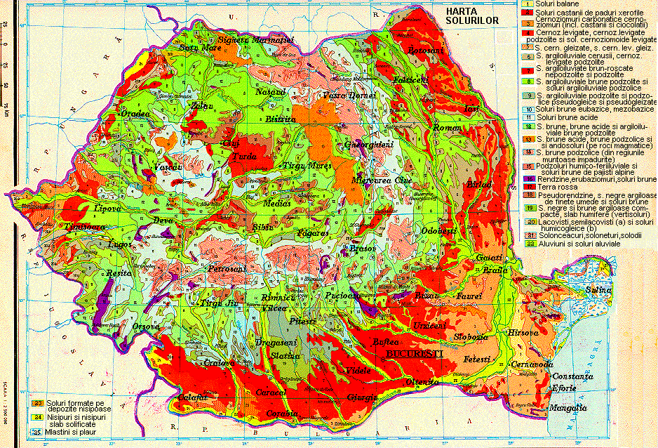 Teren Agricol De Vanzare