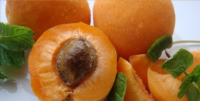 vand ferme pomicole,ferme pomicole de vanzare,vand ferma viticola,ferma viticola de vanzare, vand ferme viticole