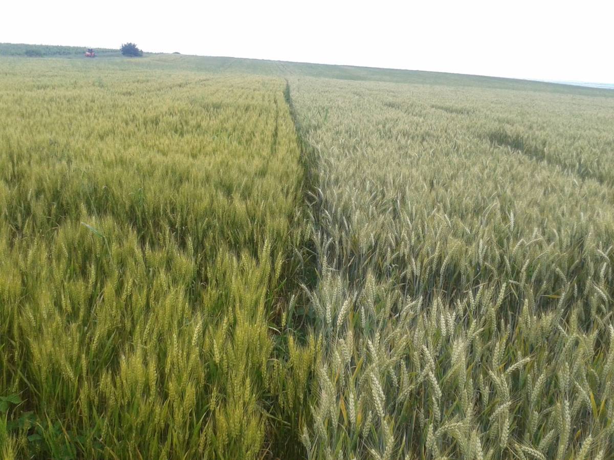 vanzare ferma ecologica