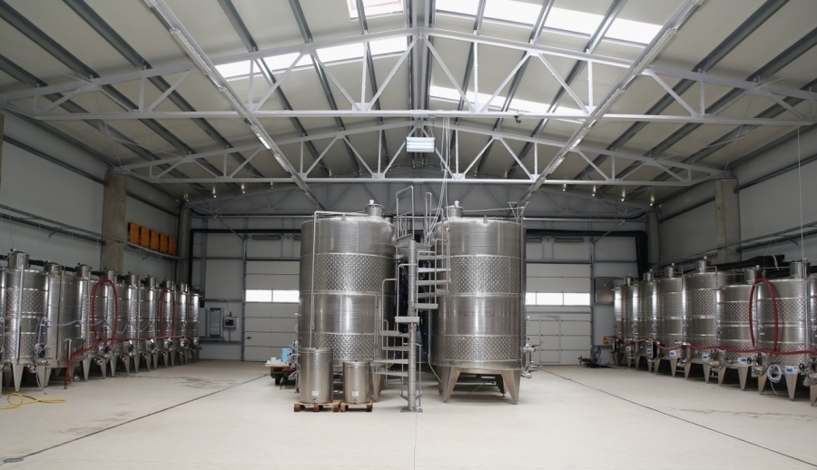 vand domeniu viticol