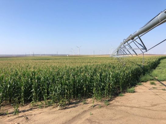 Agricultura&Energie Regenerabila